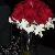 Classic Red Rose bouquet collered by white dendro orchids with rhinestones