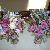 Bouquets of purple roses, white roses, wax flower, purple callas, blue delphinium, dendrobium orchids
