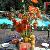 Orange Gerbera Daisy Centerpiece