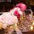 Head Table with Bouquets used as decor