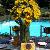 Sunflower centerpiece with matching table picture