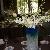 White Dendro Orchids Centerpiece